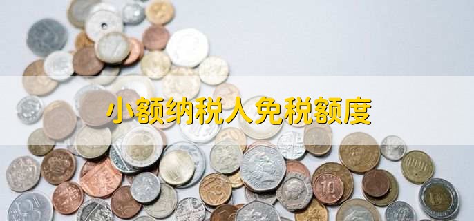 小额纳税人免税额度