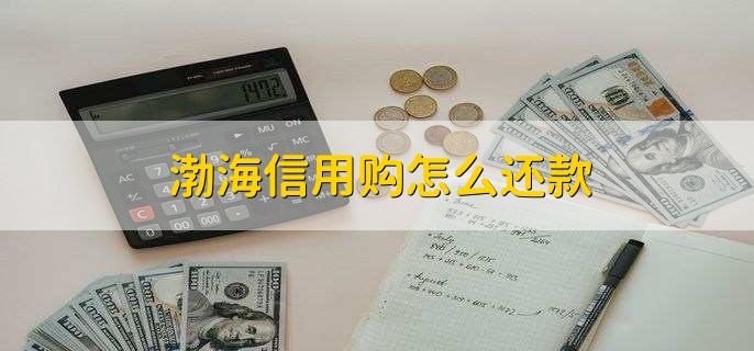 渤海信用购怎么还款