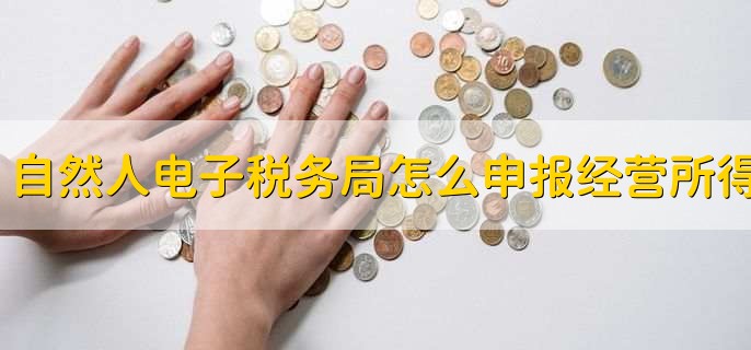 自然人电子税务局怎么申报经营所得