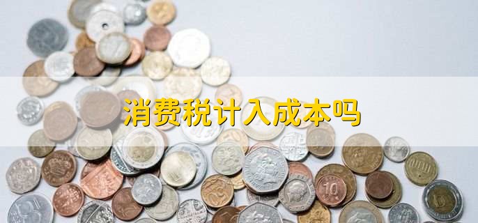 消费税计入成本吗