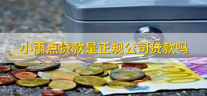 小雨点贷款是正规公司贷款吗