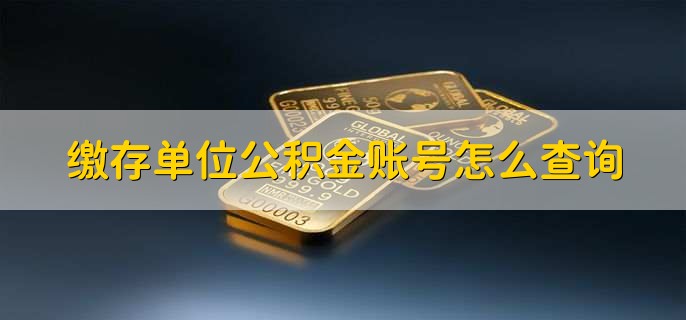 缴存单位公积金账号怎么查询