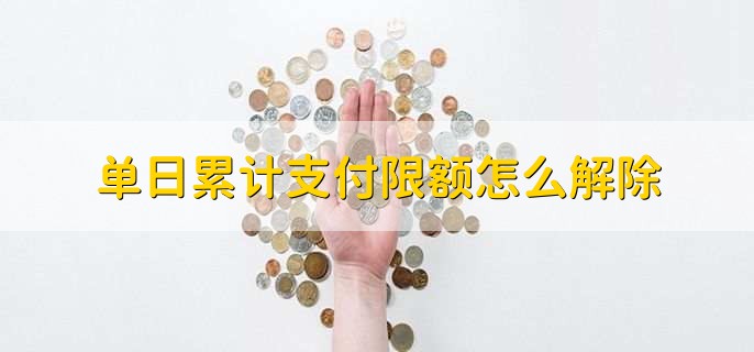 单日累计支付限额怎么解除