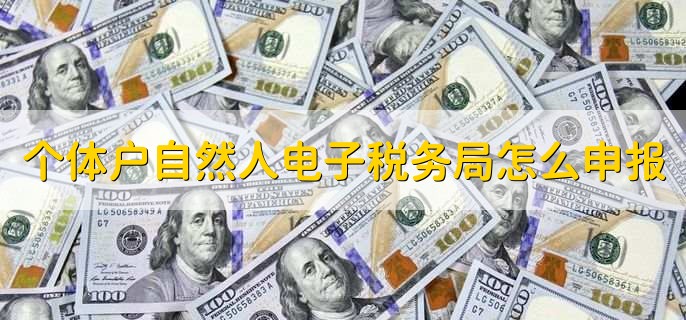 个体户自然人电子税务局怎么申报,有以下7步