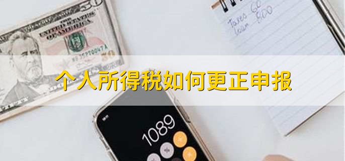 个人所得税如何更正申报