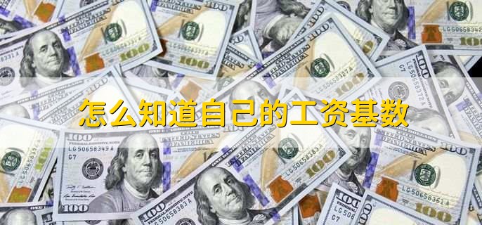 怎么知道自己的工资基数