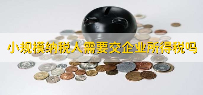 小规模纳税人需要交企业所得税吗,需要