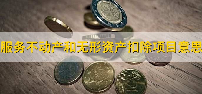 服务不动产和无形资产扣除项目是什么意思,有以下两点