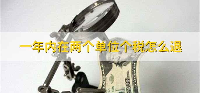一年内在两个单位个税怎么退