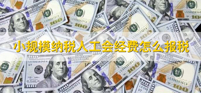 小规模纳税人工会经费怎么报税