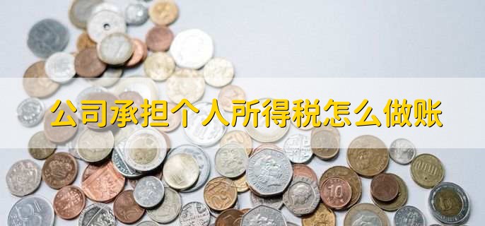 公司承担个人所得税怎么做账