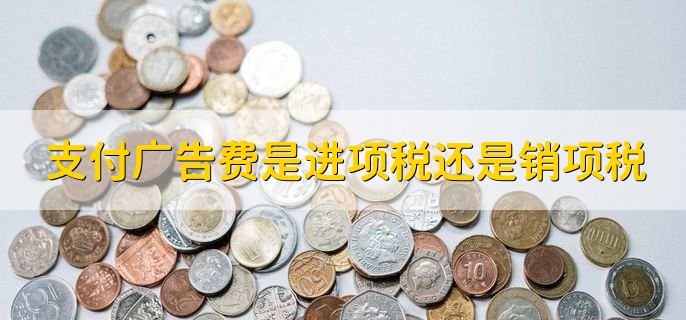 支付广告费是进项税还是销项税
