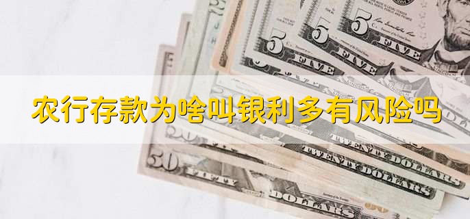 农行存款为啥叫银利多有风险吗