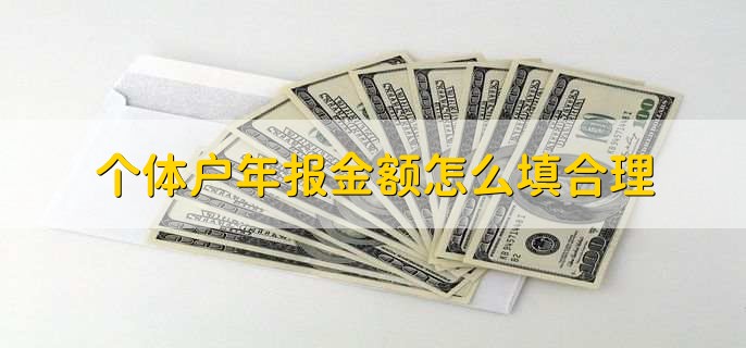 个体户年报金额怎么填合理
