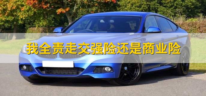 我全责走交强险还是商业险,交强险