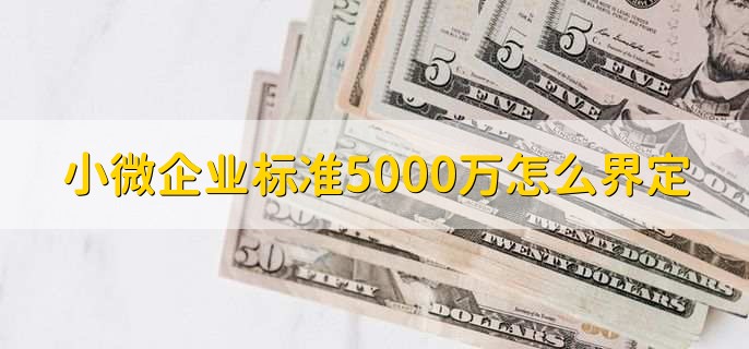 小微企业标准5000万怎么界定