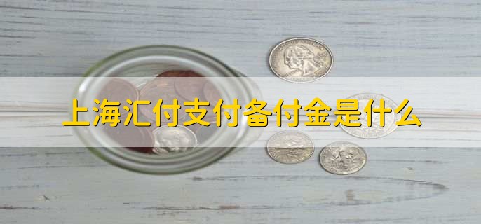 上海汇付支付备付金是什么