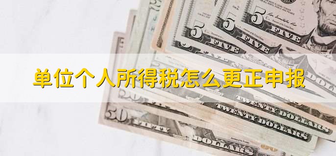 单位个人所得税怎么更正申报,有以下5步