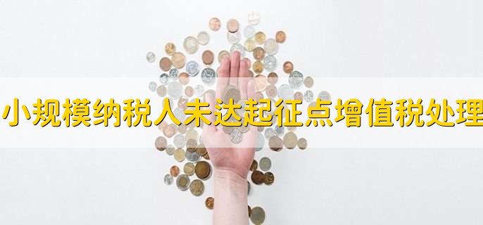 小规模纳税人未达起征点增值税处理