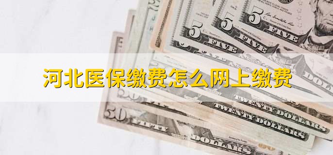 河北医保缴费怎么网上缴费