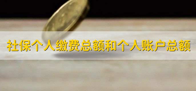 社保个人缴费总额和个人账户总额