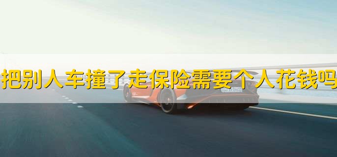 把别人车撞了走保险需要个人花钱吗