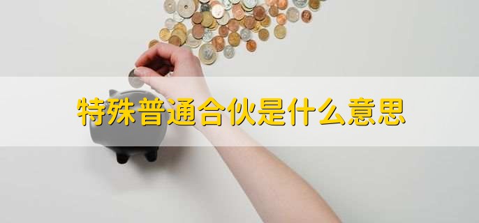 特殊普通合伙是什么意思