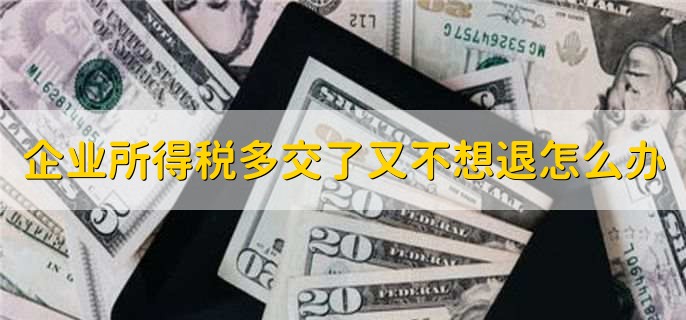 企业所得税多交了又不想退怎么办