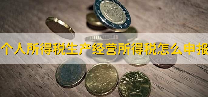 个人所得税生产经营所得税怎么申报