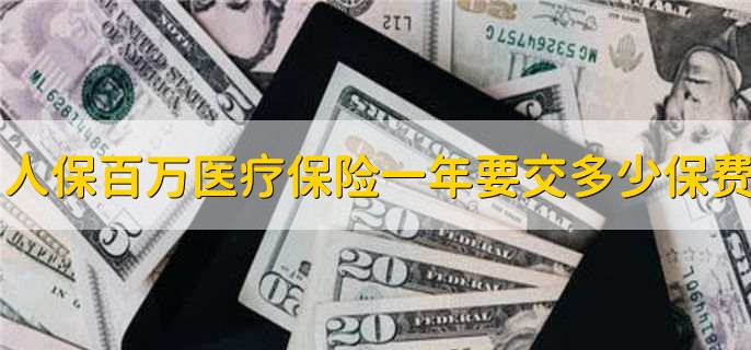 人保百万医疗保险一年要交多少保费