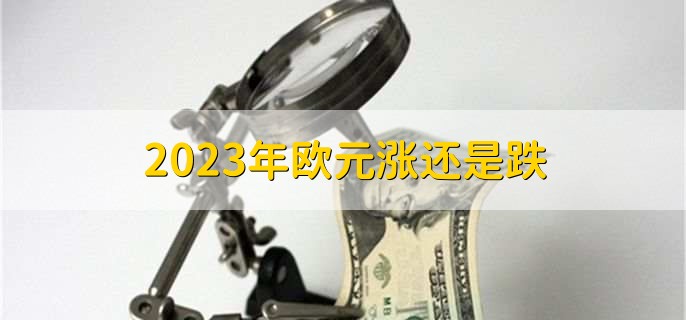 2023年欧元涨还是跌