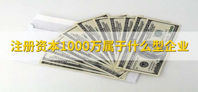 注册资本1000万属于什么型企业
