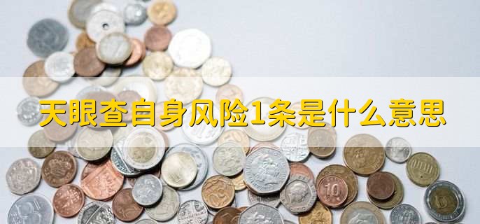 天眼查自身风险1条是什么意思