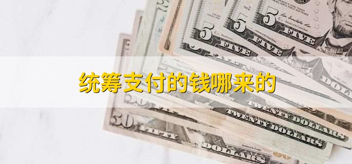 统筹支付的钱哪来的