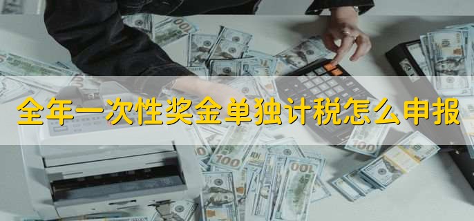 全年一次性奖金单独计税怎么申报