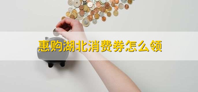 惠购湖北消费券怎么领