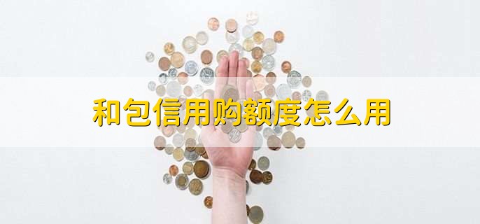 和包信用购额度怎么用
