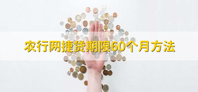 农行网捷贷期限60个月方法