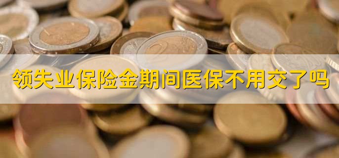 领失业保险金期间医保不用自己交了吗