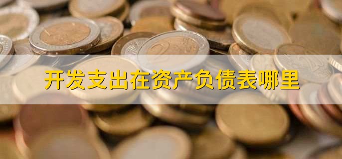 开发支出在资产负债表哪里