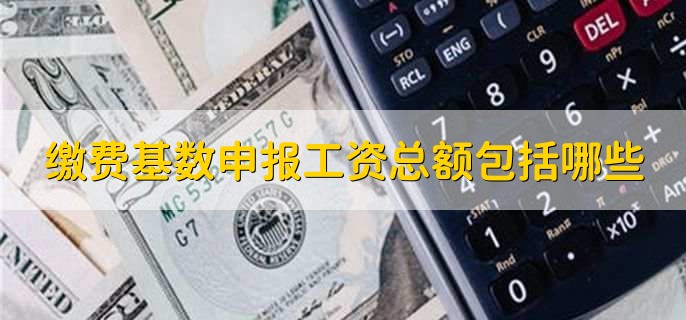 缴费基数申报工资总额包括哪些