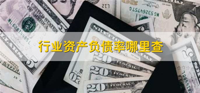 行业资产负债率哪里查