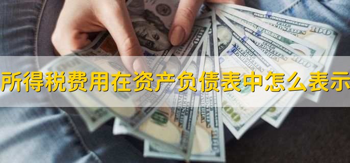 所得税费用在资产负债表中怎么表示