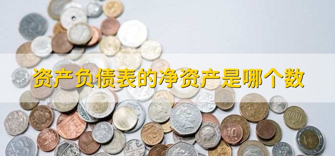 资产负债表的净资产是哪个数