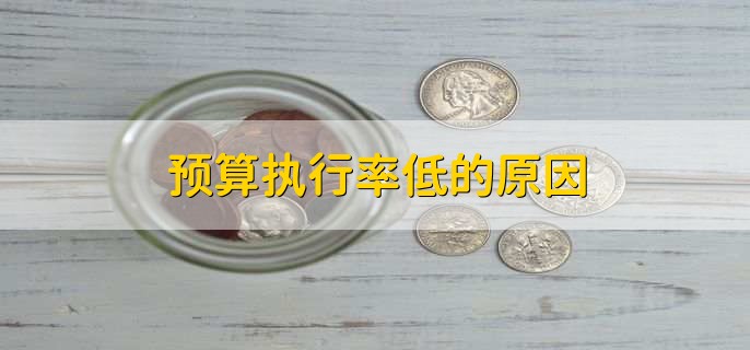 预算执行率低的原因
