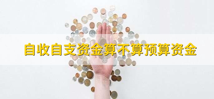 自收自支资金算不算预算资金