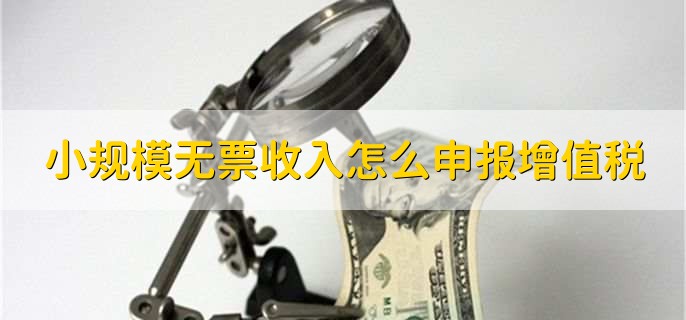 小规模纳税人无票收入怎么申报增值税