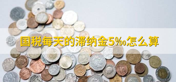 国税每天的滞纳金5‰怎么算