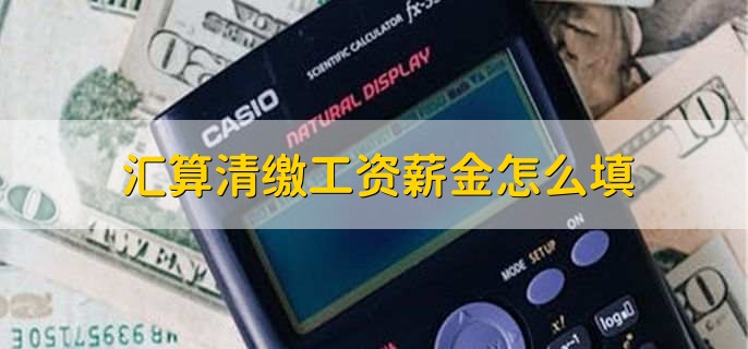 汇算清缴工资薪金怎么填