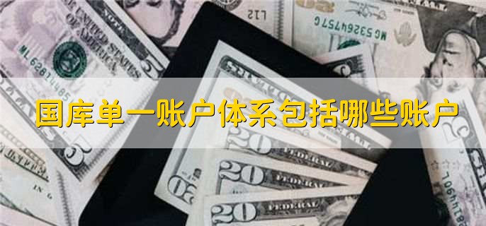 国库单一账户体系包括哪些账户
